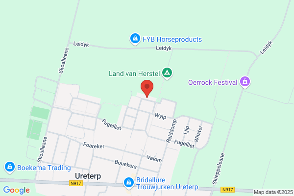 Ludimus Subsidieadvies