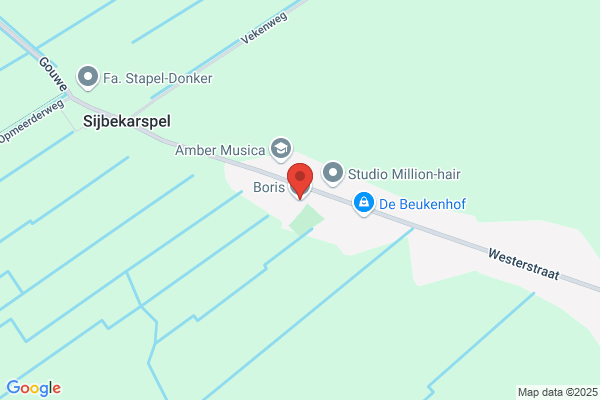 Boris Handelmaatschappij Bv