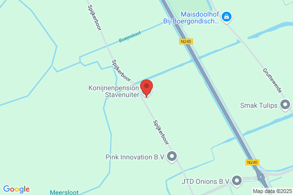 F Konijn