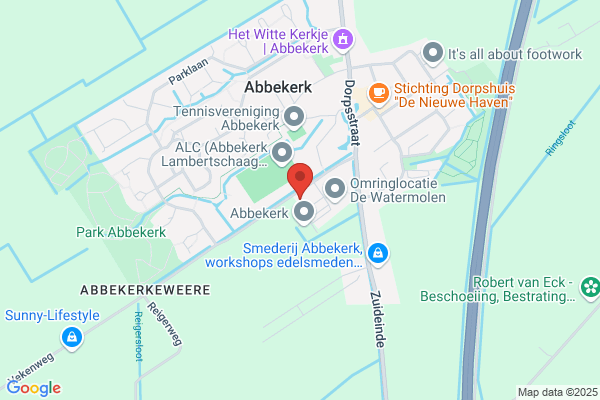 Saarloos, J Van