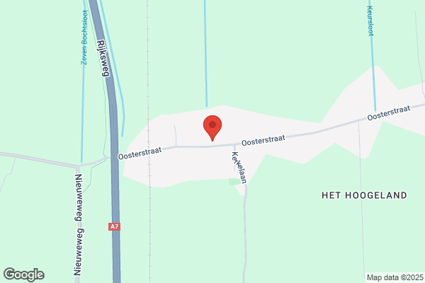 Timmerman Bloembollen