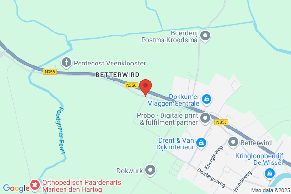 Bote S Dijk