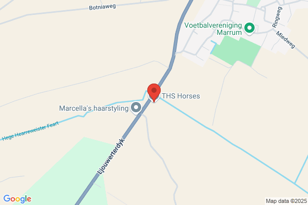 C. Hengst - De Weert