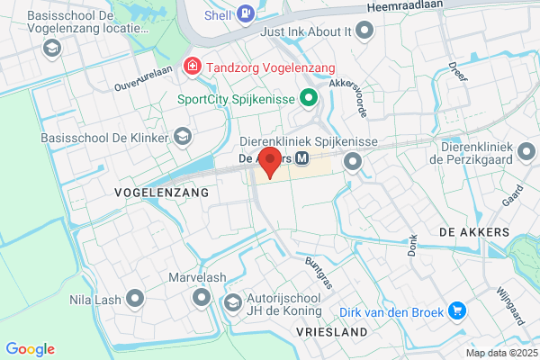 Action Spijkenisse