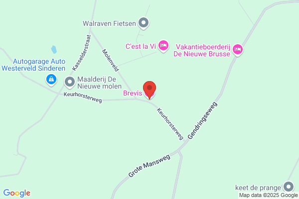 Feestvarkentje, 't