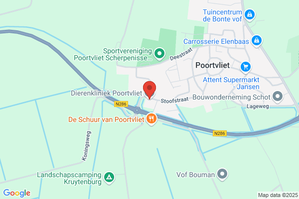 Dierenartspraktijk Eiland Tholen W. Bron