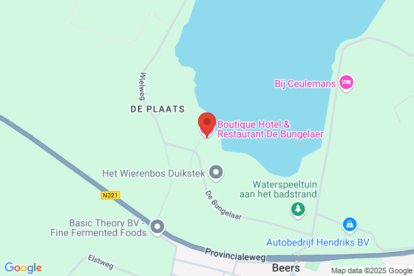 Th.J.M. V.D. Bungelaar