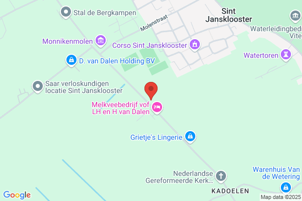 Fa Van Dalen