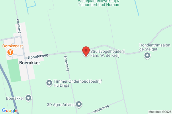 Jansen Struisvogelhouderij