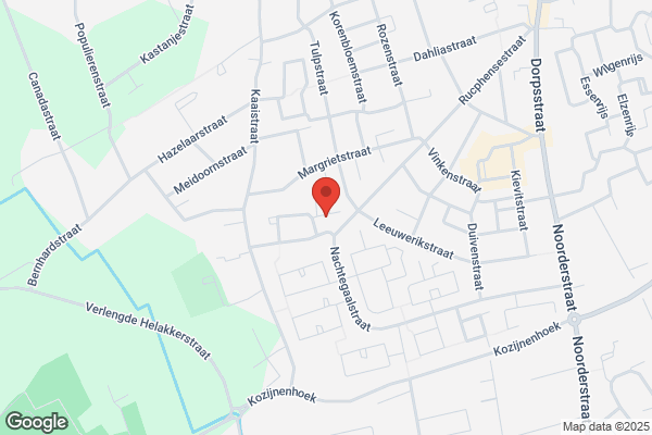 Van Zundert