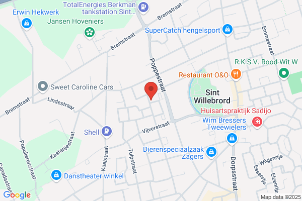 Revisiebedrijf Amt