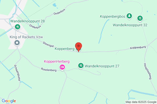 H. Koppenberg