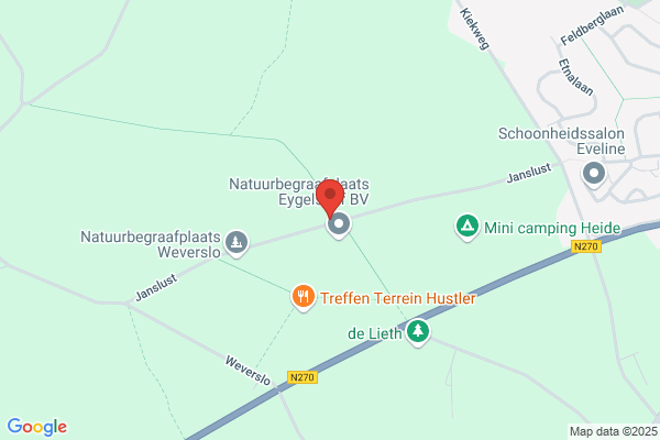 Jans Vof, Theo