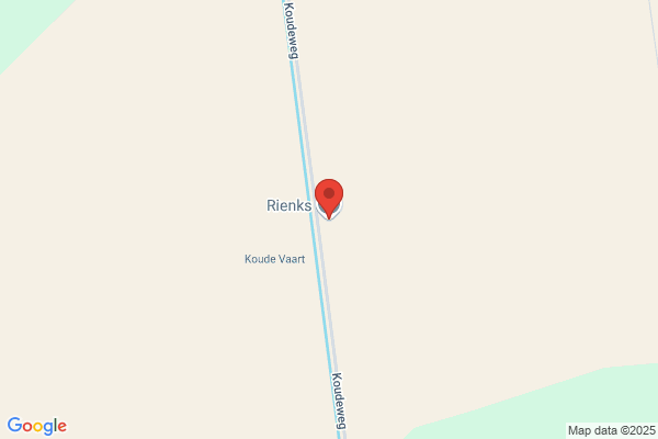 Rienk's