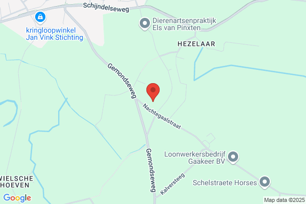 Paladijn Visuele Vormgeving