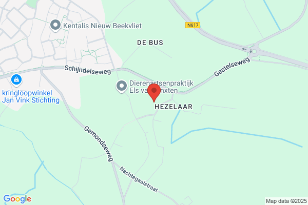Antiek De Witte Boerderij