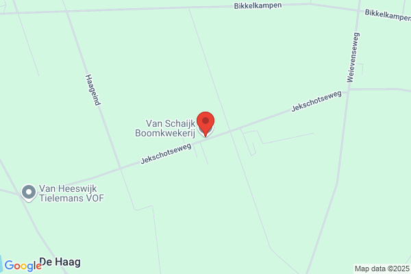 Boomkwekerij H. Van Schijndel