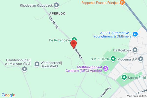 Bv Handelsonderneming N. Van Loo