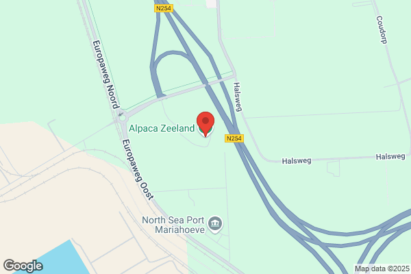 Partycentrum Neffen D`eule