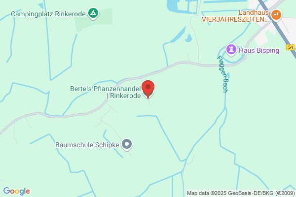 Bertels, R M J