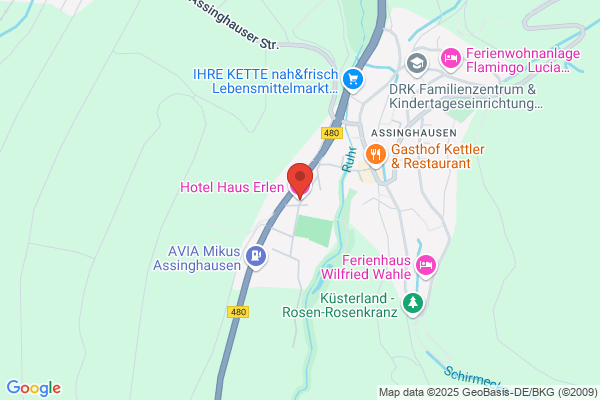 Erlen