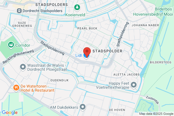 Domino's Pizza Dordrecht Pearl Buckerf