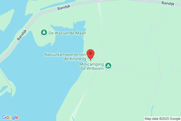 Knotwilg, De