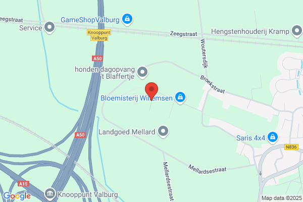 Eurospeed Services