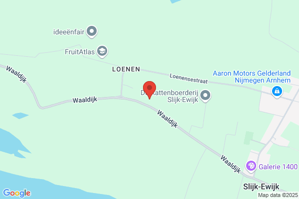 Jansen Rietdekkersbedrijf A G