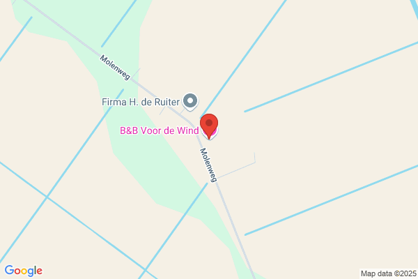 Jan van der Laan Rietdekkersbedrijf
