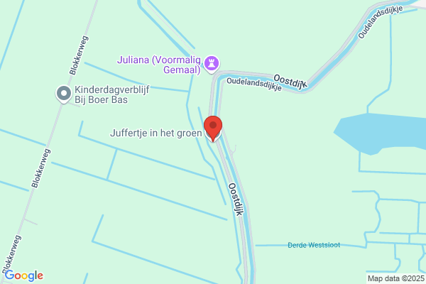 Juffertje In 't Groen