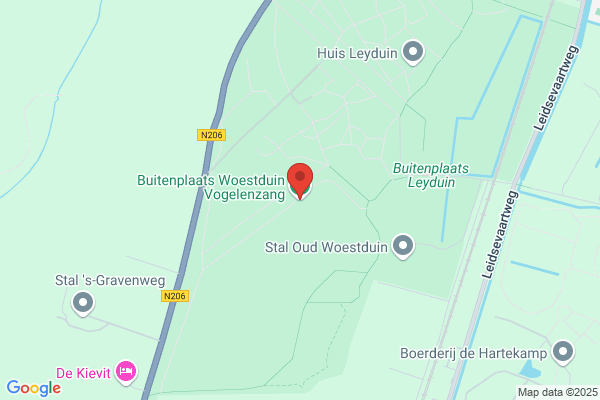 Woestduyn