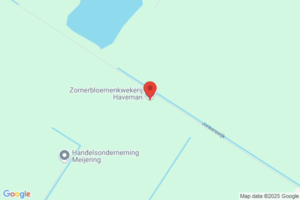 Haveman, Gebr