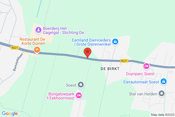 De Birkt