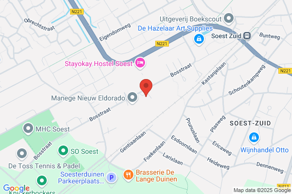 Blauwe Vogel, De