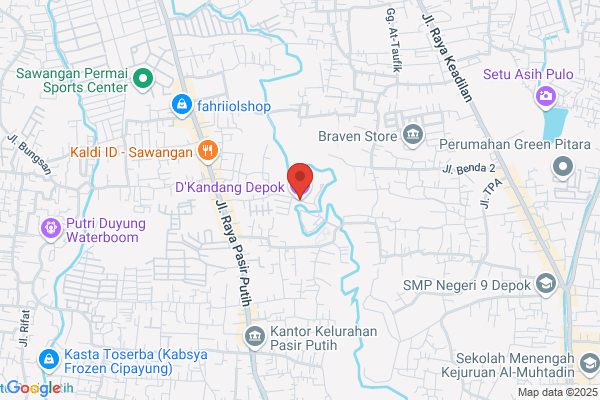 Anak Depok