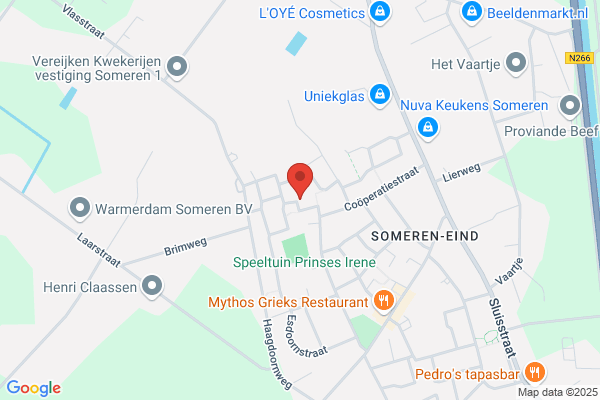 Raassens, T C M