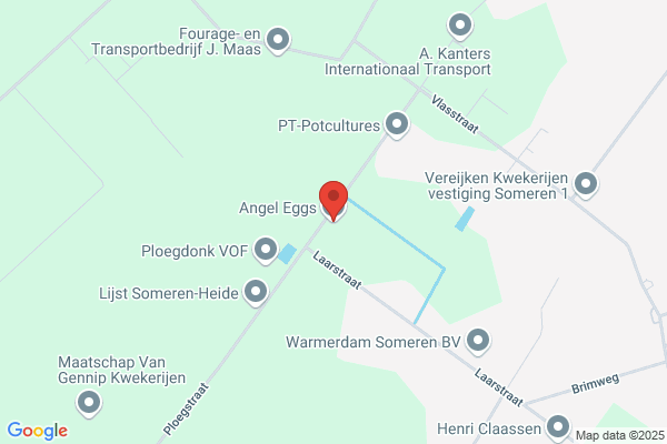 Engelen, W