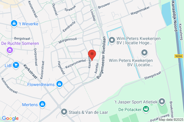 Keulen Bv, L A H Van