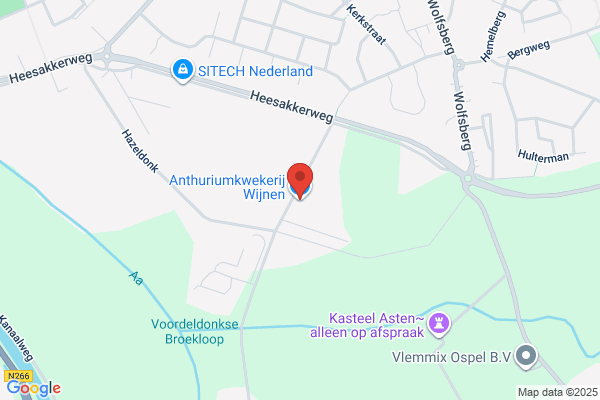 Ad Wijnen Rotsplanten