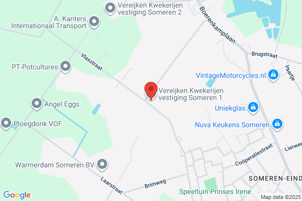 Kwekerijen Seerden-Hendrikx C.V.