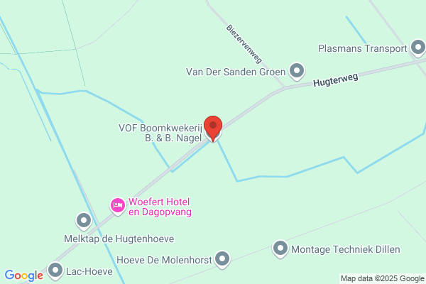 Nagel Van Der Kampen