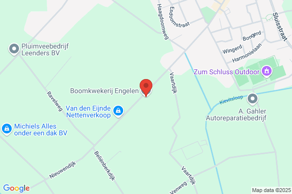 Boomkwekerij Engelen