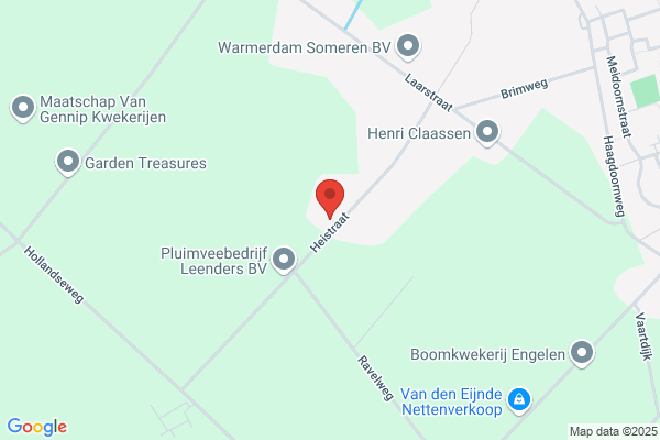 Leenders, M