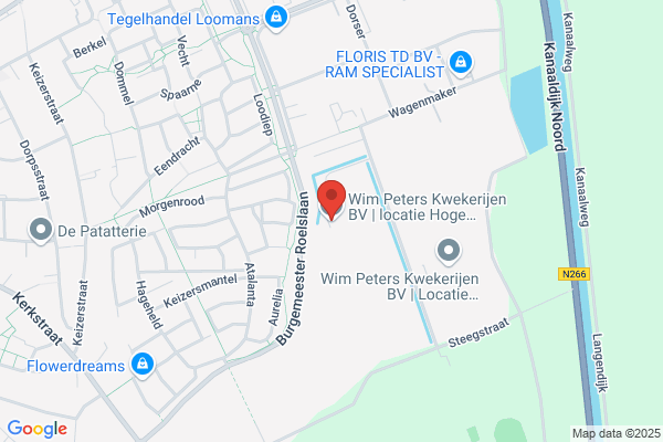 Peter Wijnen Software
