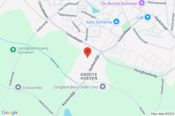 Hout & Bosbouw Van Otterdijk