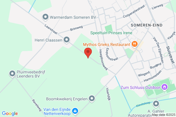 Jeuken Kerstbomen