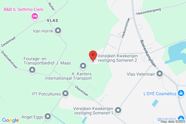 Vereijken