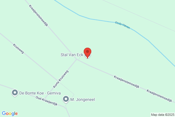 A J D Van Eck