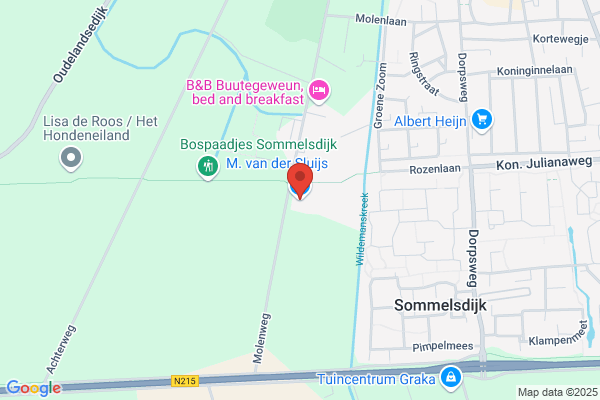 M. Van Der Veer